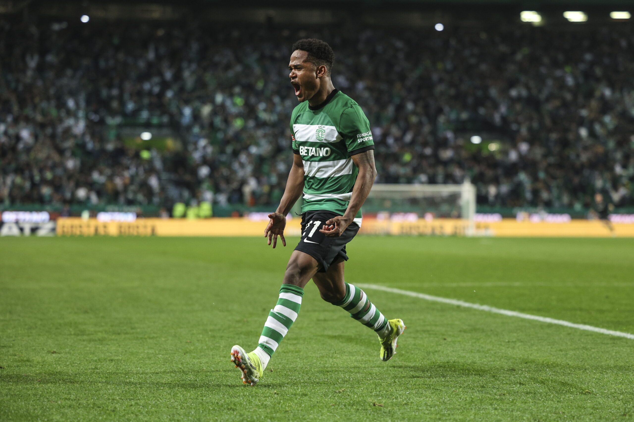 Futebol: Sporting vs Rio Ave Futebol: Sporting vs Rio Ave