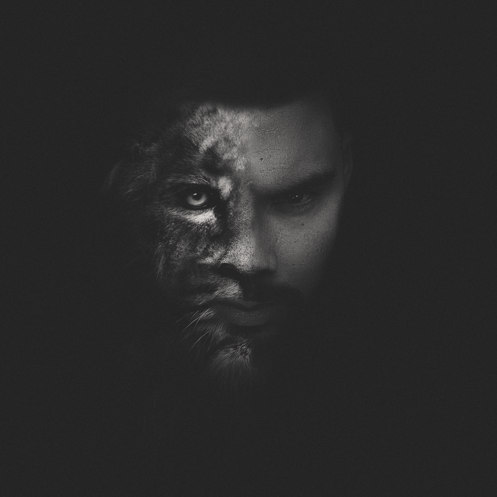 Bem-vindos Sportinguistas Bem-vindos Sportinguistas